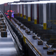 Image for article titled Yet Another Amazon Worker Has Died of Coronavirus